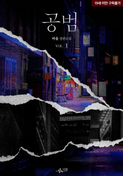 Accomplice Cover